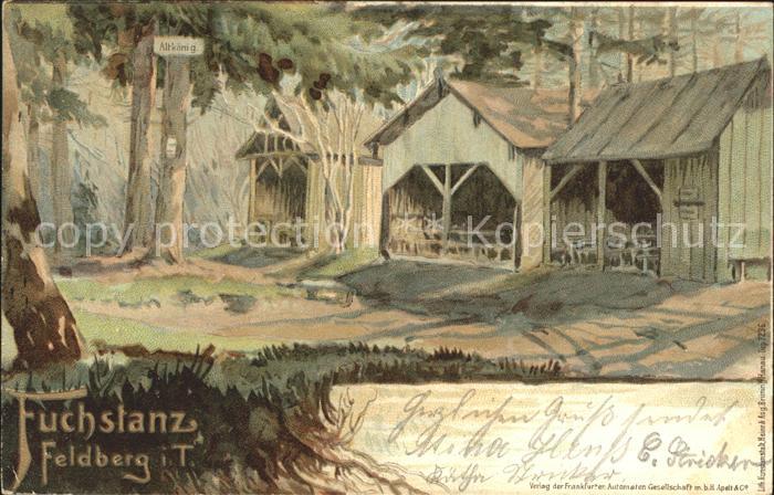 Feldberg Taunus Fuchstanz Litho