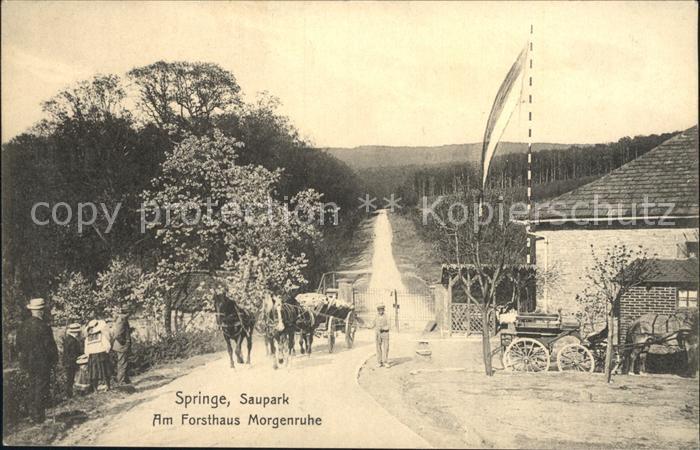 Springe Deister Saupark Forsthaus Morgenruhe