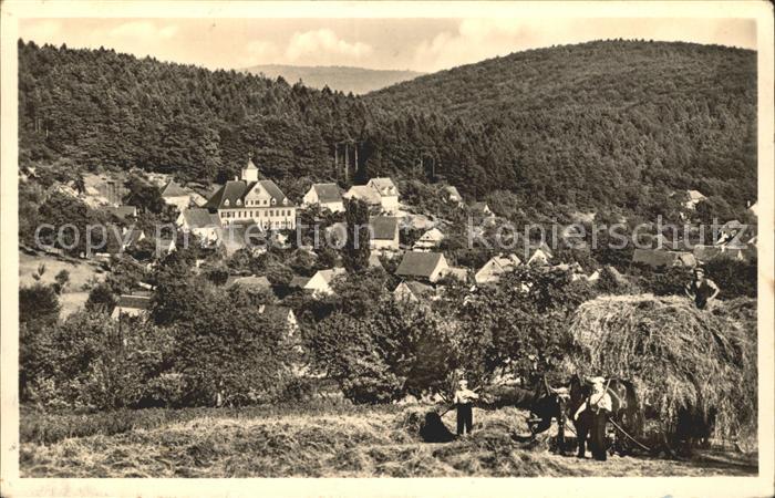Waldhilsbach Gasthof zum Roess´l