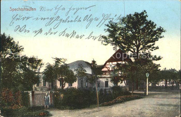 Tharandt Spechtshaufen