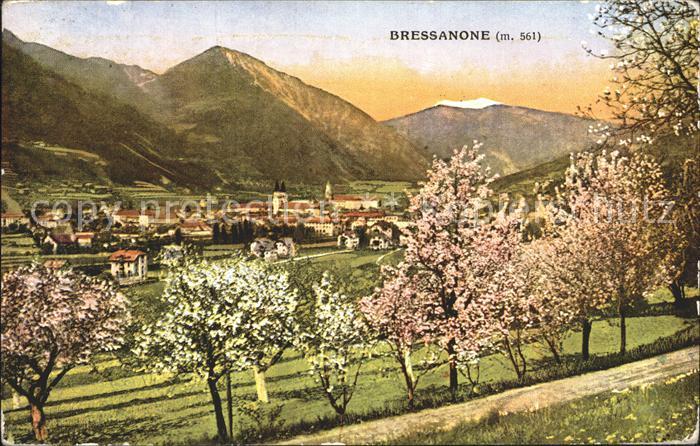 Bressanone Teilansicht mit Kirschblueten