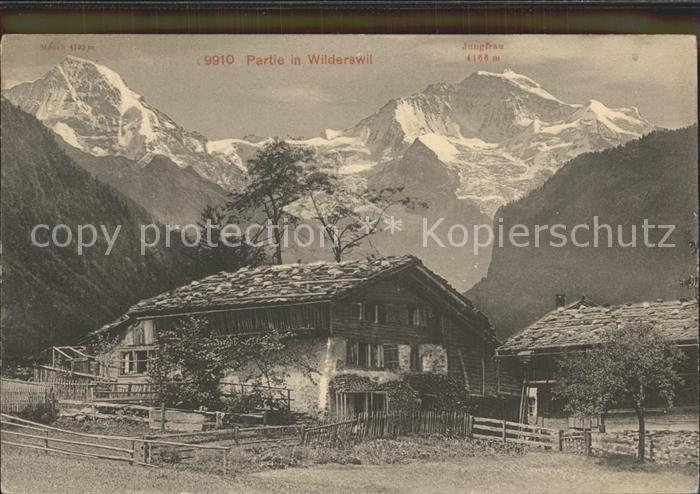 Wilderswil Almhuette mit Moench und Jungfrau