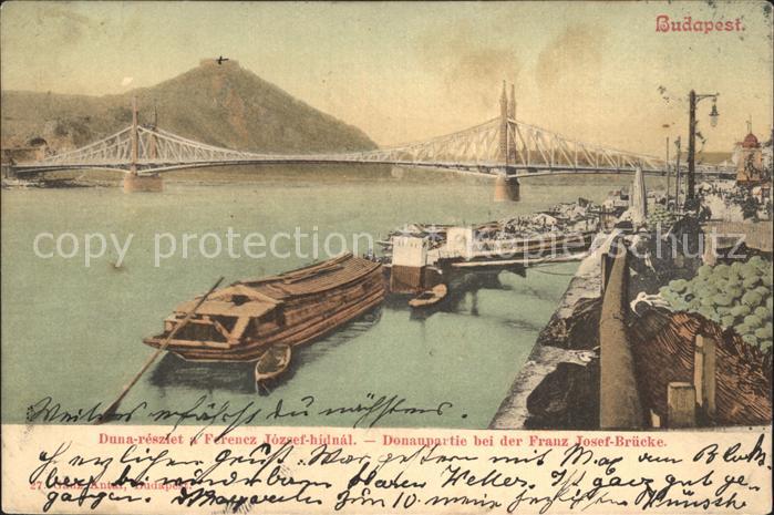 Budapest Donaupartie bei der Franz Josef Bruecke