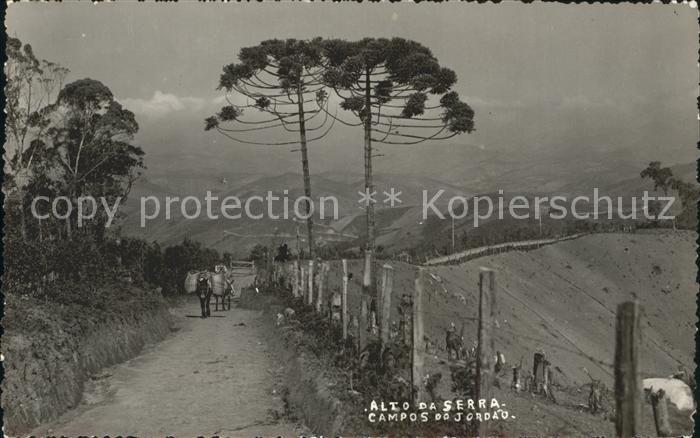 Campos do Jordão Alto da Serra