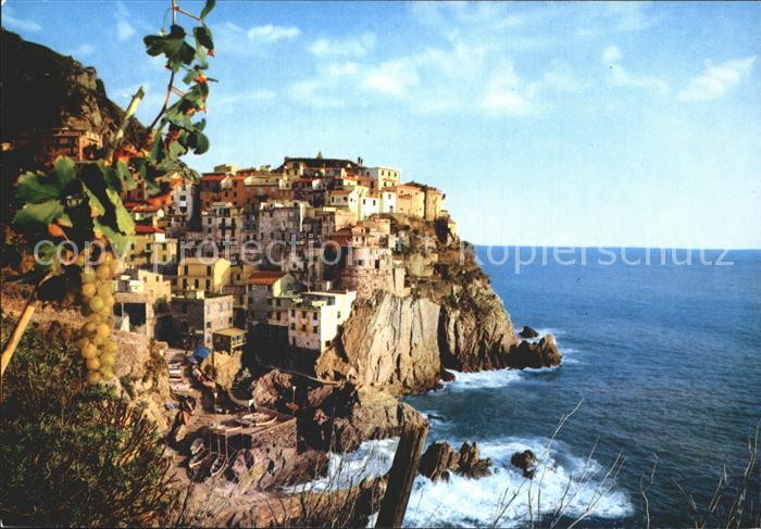 Manarola Stadtansicht