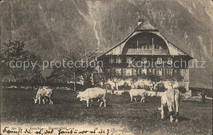 Aeschi BE Bauernhof Kuehe