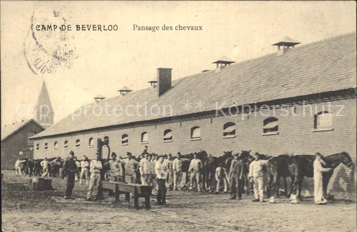 Camp de Beverloo Pansage des Chevaux