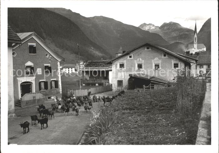 Alt Zernez GR Dorfpartie Ziegen Alpen