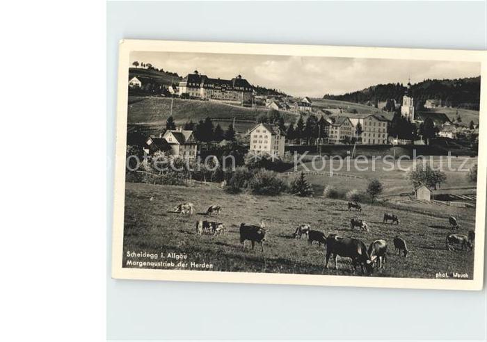 Scheidegg Allgaeu Teilansicht Morgenaustrieb der Viehherde