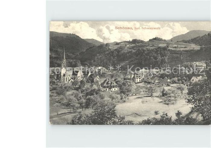 Schoenau Schwarzwald Panorama