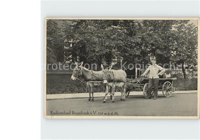 Bad Brambach Radiumbad Eselskarren