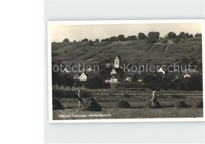 Fischingen Baden Teilansicht Heuernte