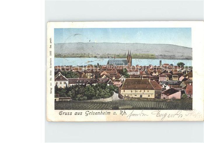 Geisenheim Stadtblick