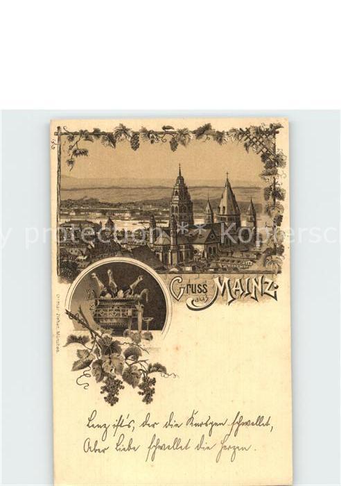 Mainz Rhein Dom Panorama