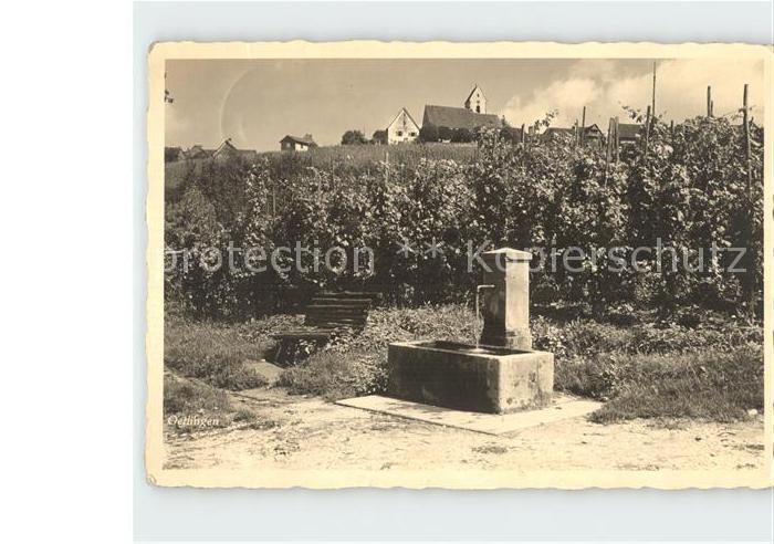 oetlingen Weil Rhein Teilansicht Reben Brunnen