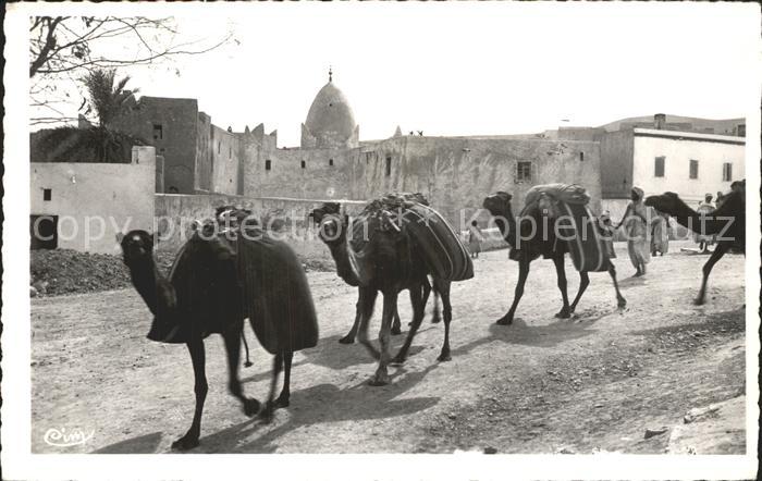 Bou Saada Kamelkaravane durch die Stadt