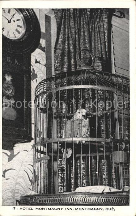 Montmagny Canada Vogelkaefig im Hotel Montmagny Inn