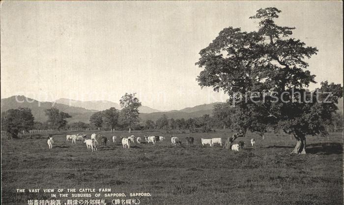 Sapporo The vast view of the Cattle Farm