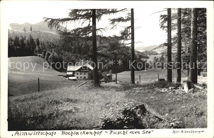 Fuschl See Salzkammergut Almwirtschaft Hochlackenhof