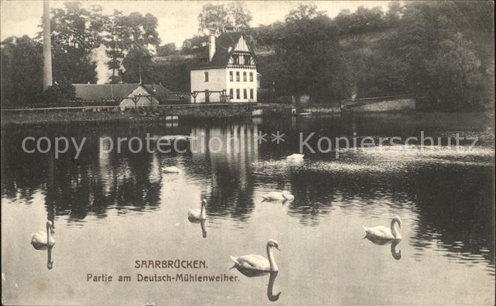 SAARBRueCKEN Saarland Partie am Deutsch Muehlenweiher Schwaene