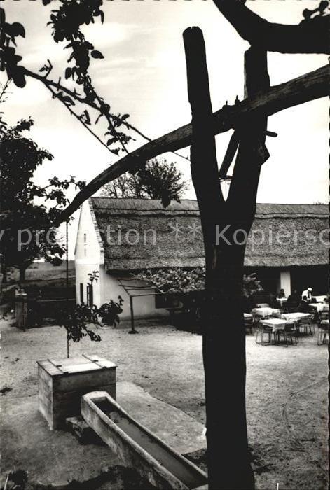 Rezi Gyoengyoesi Schenke