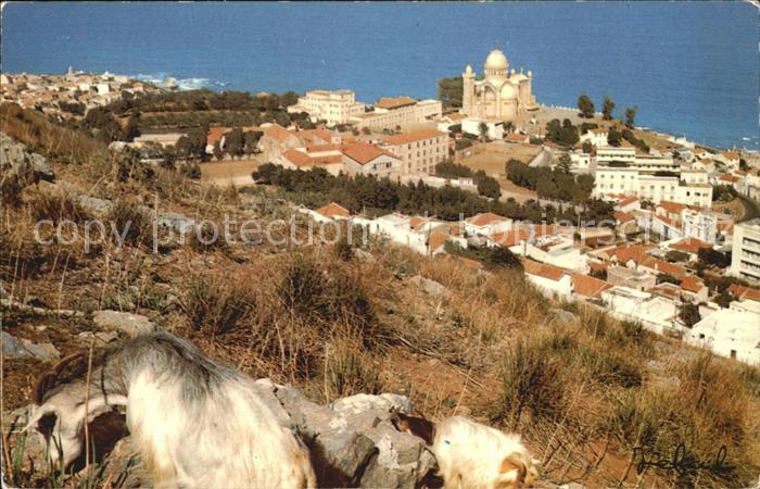 Alger Algerien Notre Dame d_Afrique