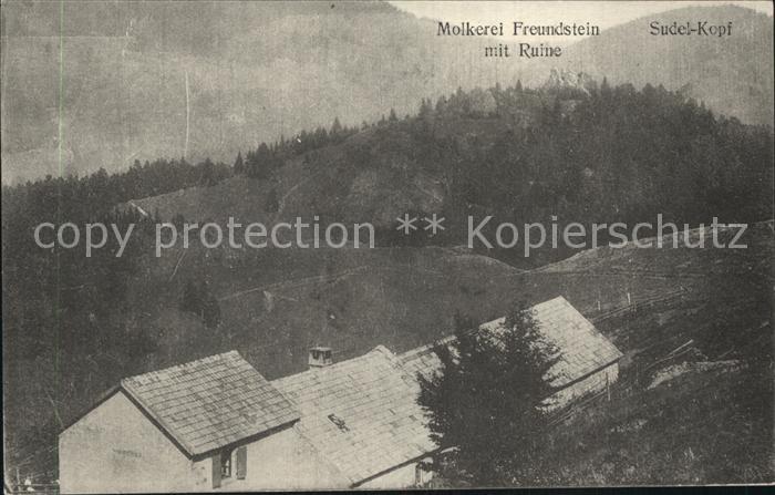 Rimbachzell Molkerei Freundstein mit Ruine und Sudelkopf