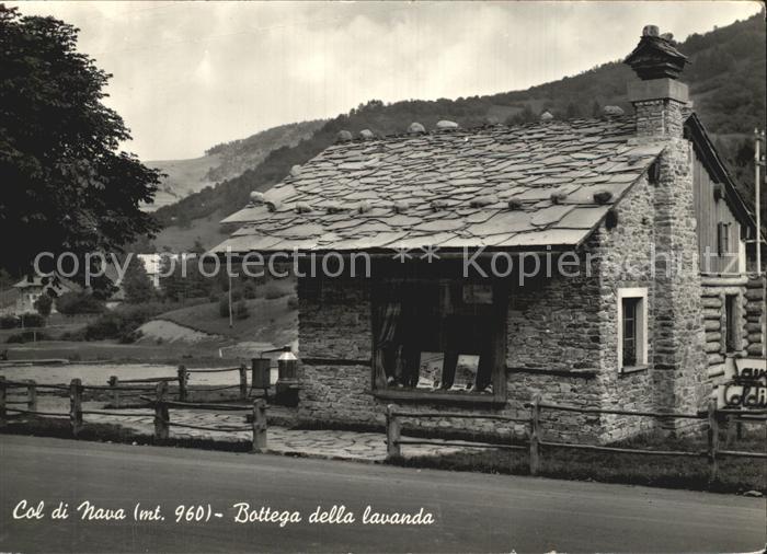 Col di Nava Bottega della lavanda