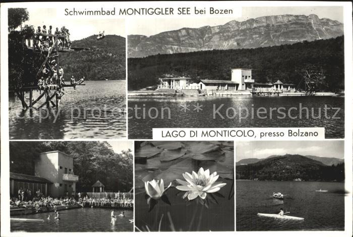 Bolzano Lago di Monticolo Schwimmbad Montiggler See Seerosen