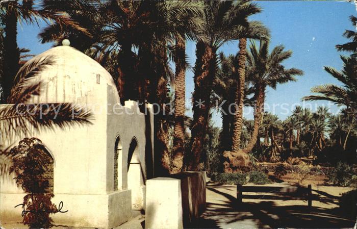 Bechar Vue Pittoresque