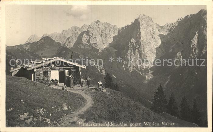 Kufstein Tirol Hinterkaiserfelden-Alm Wilder Kaiser