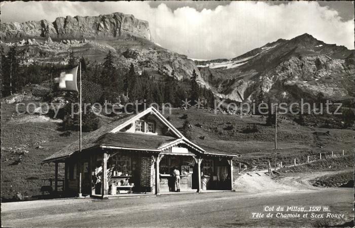 Pillon Tete de Chamois Scex Rouge