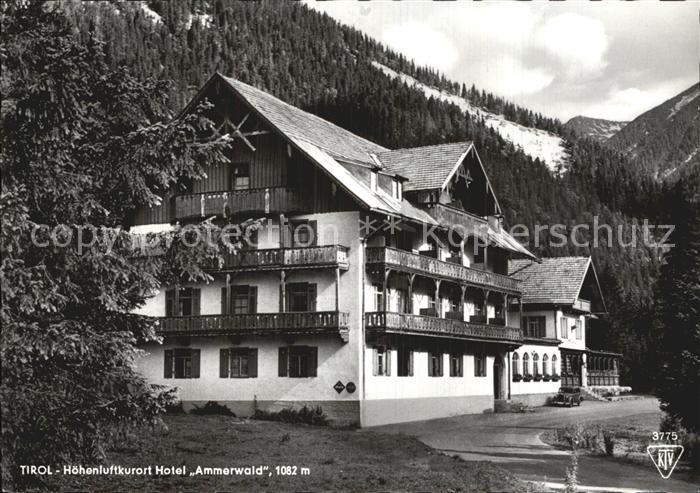 Reutte Tirol Hoehenluftkurort Hotel Ammerwald