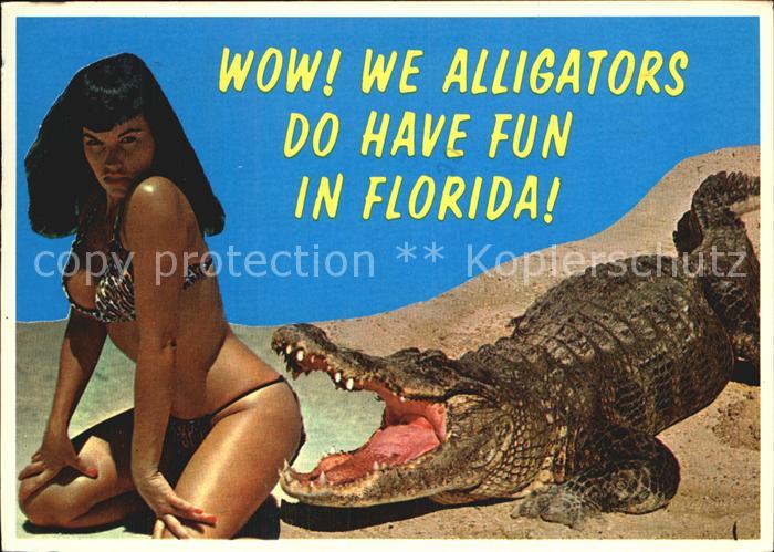 Florida US-State Alligator