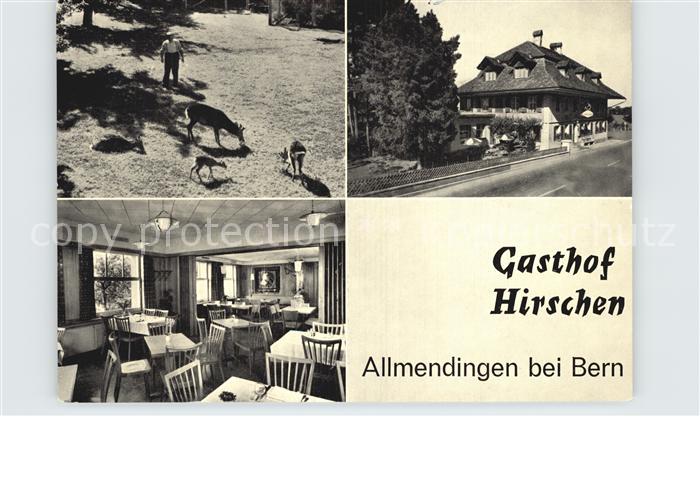 Allmendingen Bern Gasthof Hirschen Gaststube Wildgehege
