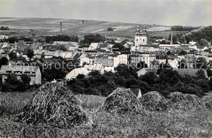 Glucholazy Widok ogolny