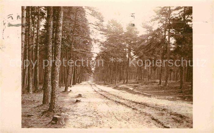 Riga Lettland Waldweg