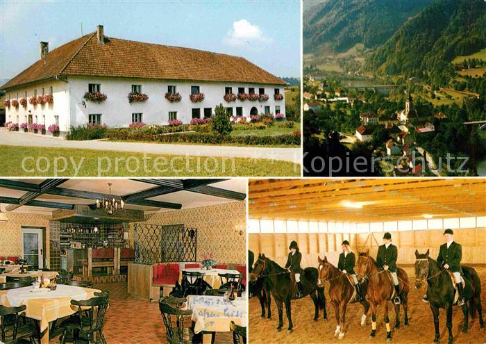 Ternberg Pension Kronawetterhof Pferde mit Reitern