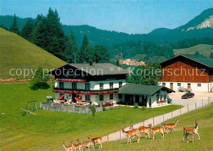 Golling Salzach Berggasthof Bachrain