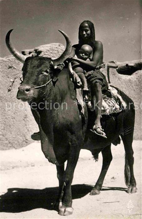 Tschad Tchad Fort Lamy Boeuf Porteur