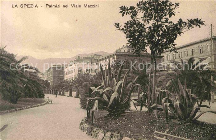 La Spezia Palmizi nel Viale Mazzini