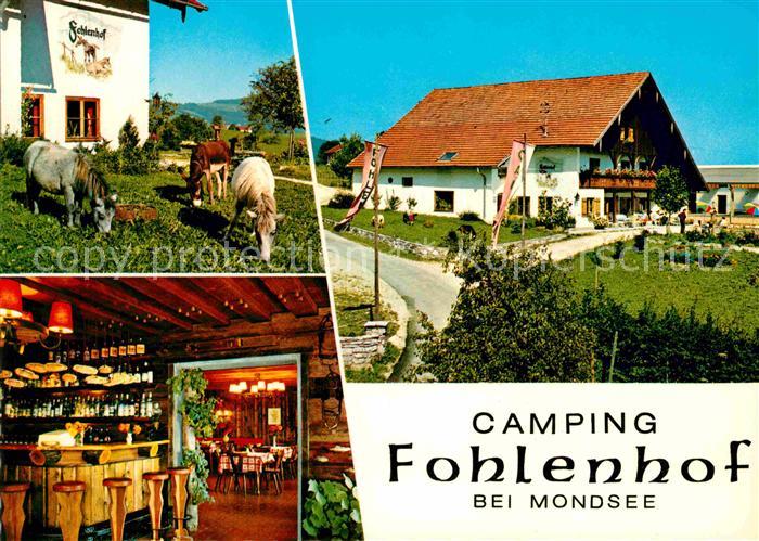Mondsee Salzkammergut Camping Fohlenhof