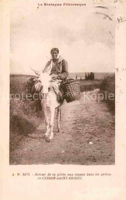 Saint-Brieuc Cotes-d Armor Esel Typen