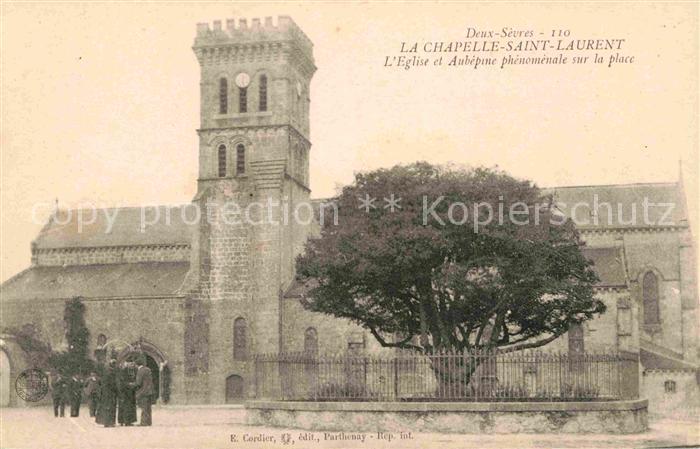 Chapelle-Saint-Laurent La Eglise Aubepine phenomenale sur la plac
