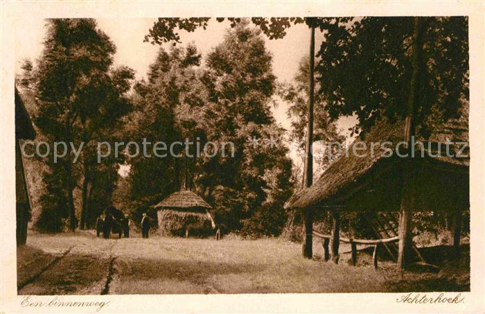 Deventer Partie im Wald