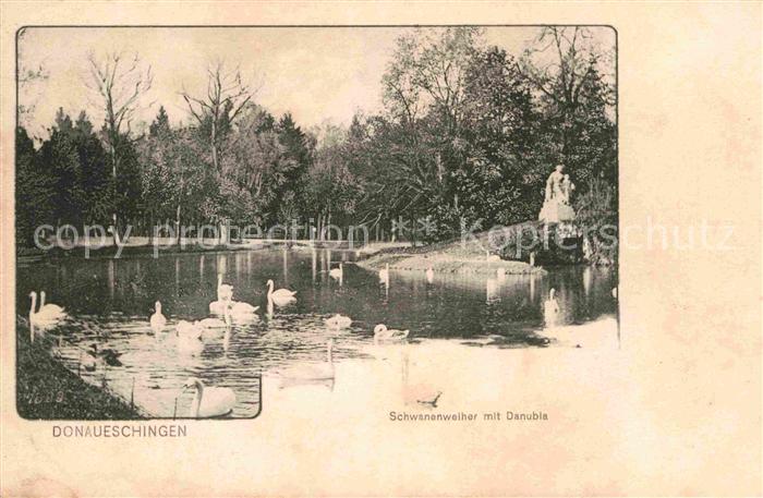 Donaueschingen Schwanenweiher mit Danubia