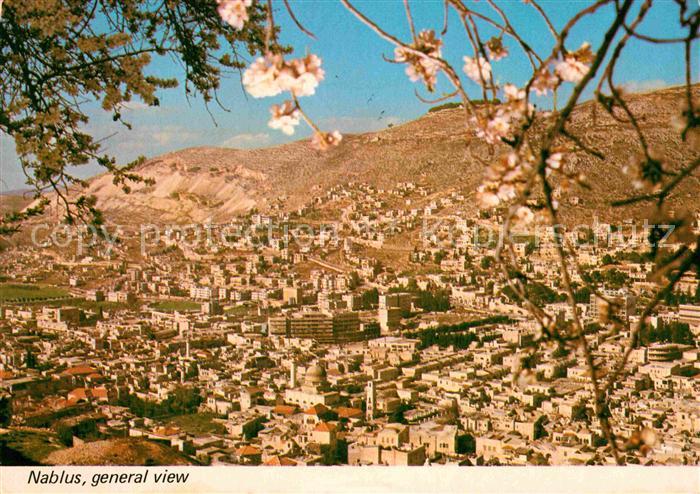 Nablus Panorama