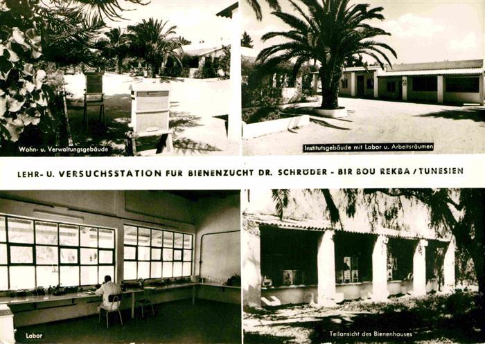 Tunesien Lehr Versuchsstation Bienenzucht Doktor Schroeder