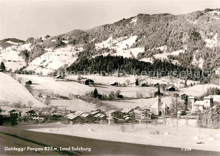 Goldegg Winterlandschaft