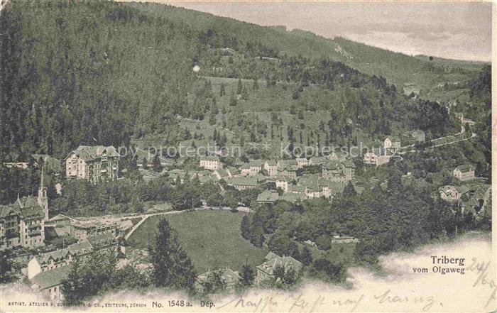Triberg Schwarzwald BW Blick vom Olgaweg